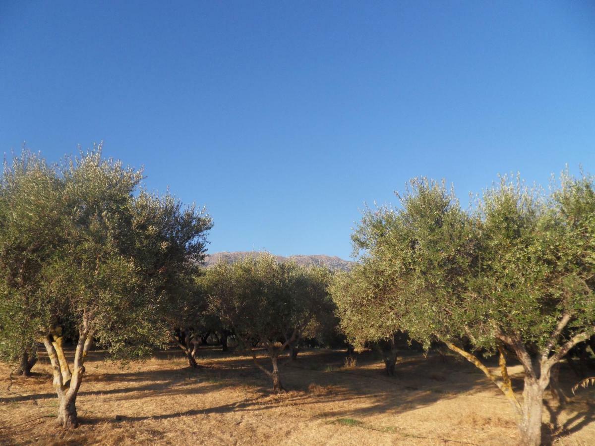 Villa Oscania Georgioupoli Exterior foto